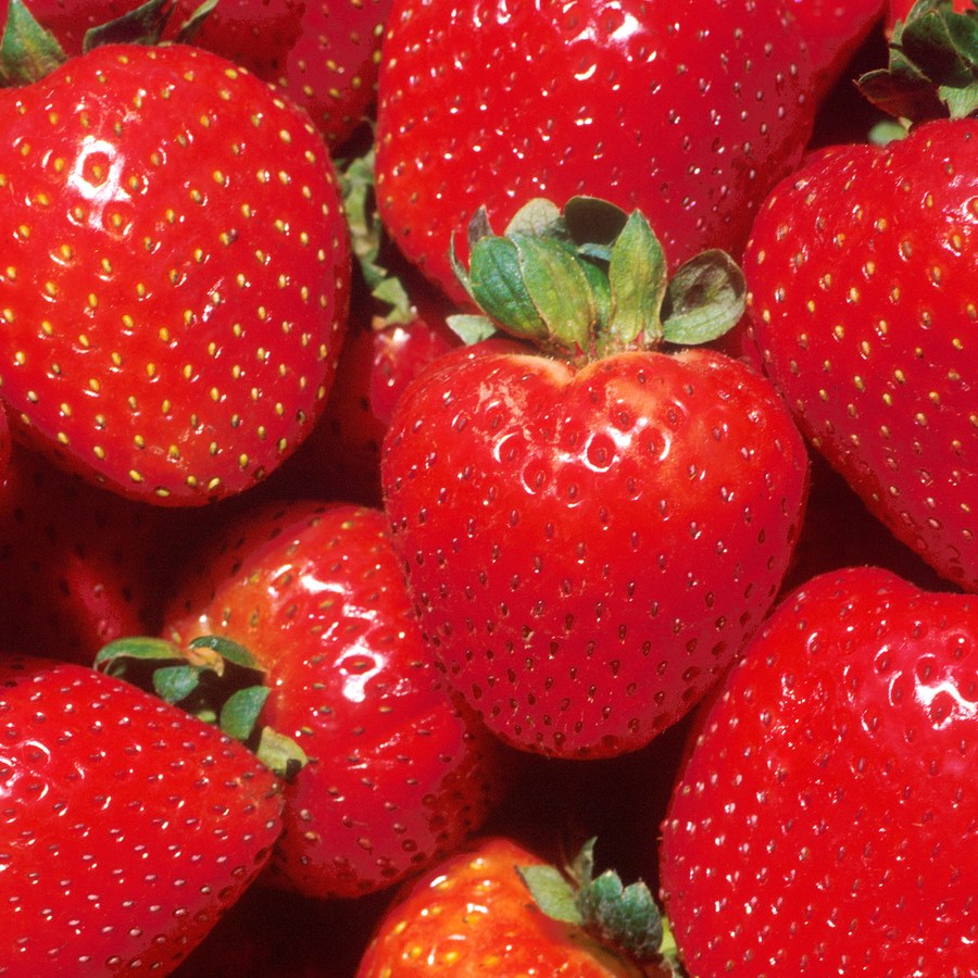 Fresh Strawberries 1 lb