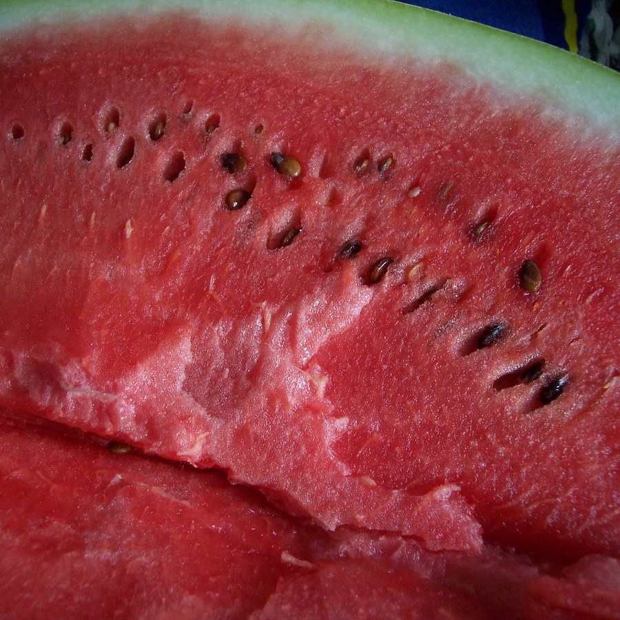Watermelon Cubes 16 oz