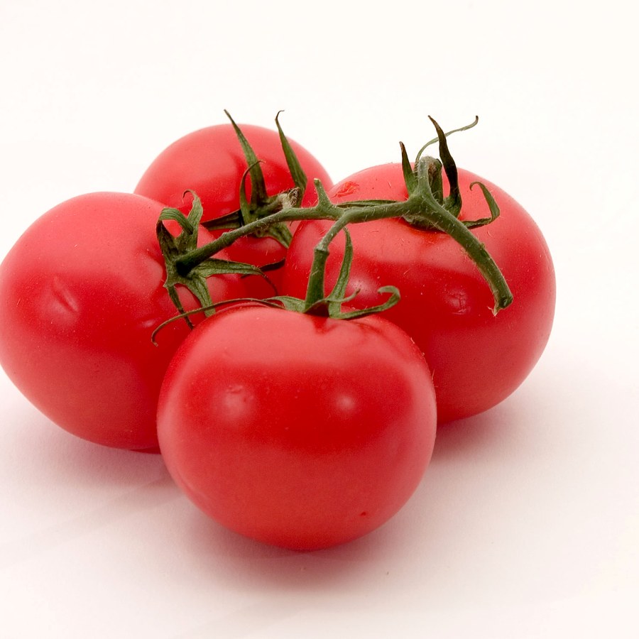Tomatoes on the Vine