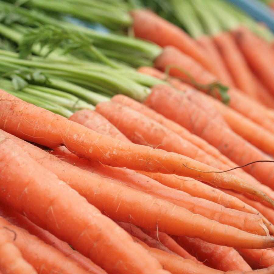 Organic Carrots Bunch