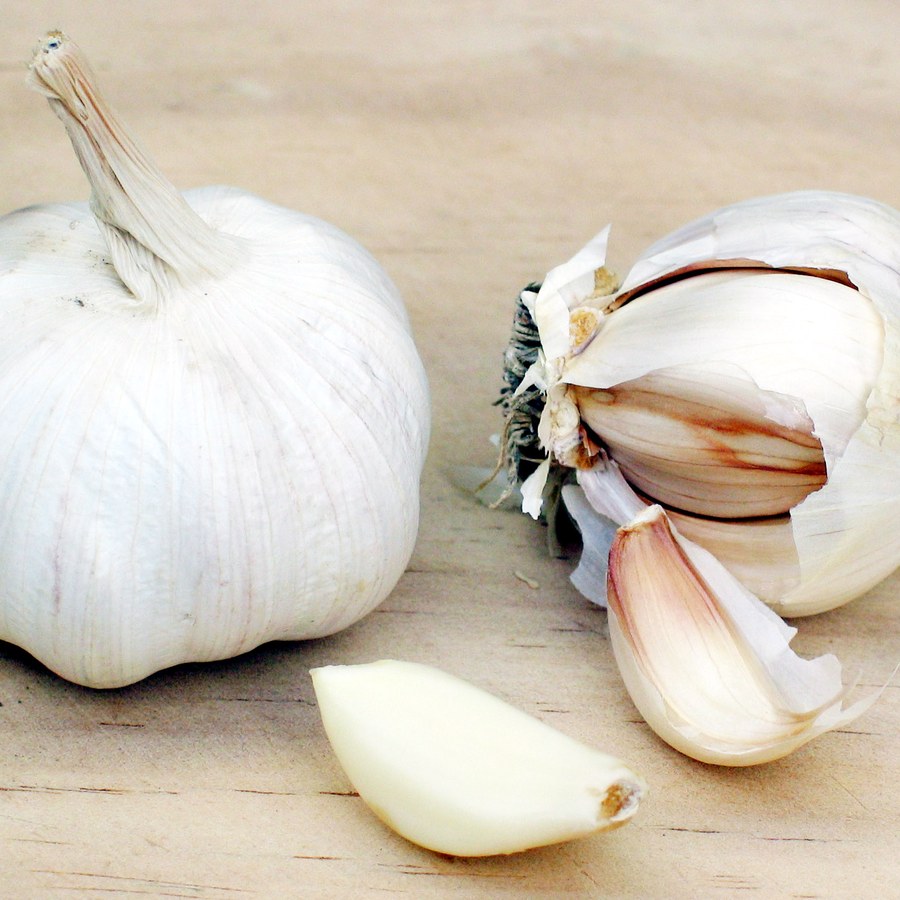Garlic Bulbs 3 ct